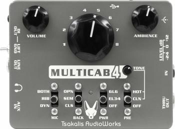 Tsakalis AudioWorks MultiCab 4 Kytarový multiefekt