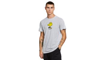 Dedicated T-shirt Stockholm Woodstock Grey Melange šedé 18780