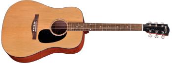 Eastman PCH1-D