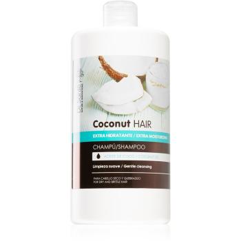 Dr. Santé Coconut hydratační šampon pro suché a křehké vlasy 1000 ml