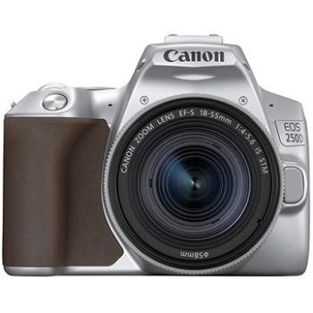 Canon EOS 250D stříbrný + EF-S 18-55 mm f/4-5.6 IS STM (3461C001)