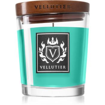 Vellutier Siberian Pine Forest vonná svíčka 90 g