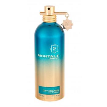 Montale Day Dreams 100 ml parfémovaná voda unisex
