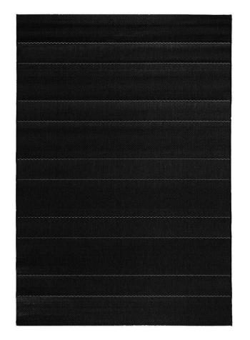 Hanse Home Collection koberce Kusový koberec Sunshine 102030 Schwarz - 80x150 cm Černá