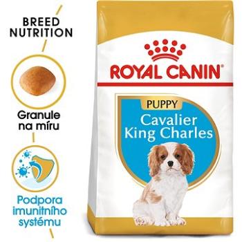 Royal Canin Cavalier King Charles Puppy 1,5 kg (3182550813051)