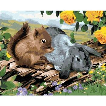 Malování podle čísel - Veverka a králík na pařezu (Howard Robinson) (HRAbz33408nad)