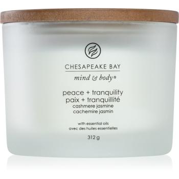 Chesapeake Bay Candle Mind & Body Peace & Tranquility vonná svíčka I. 312 g