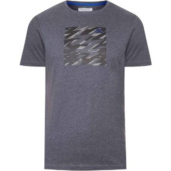 Kappa LOGO CAD Pánské triko, tmavě šedá, velikost M