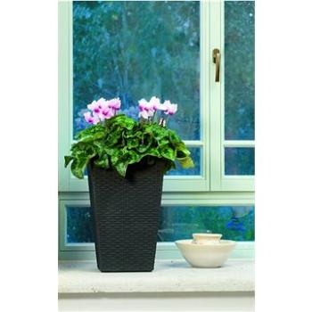 KETER Květináč RATTAN PLANTER M hnědý (228975)