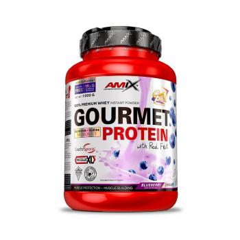 Amix Gourmet Protein Příchuť: Blueberry-Yoghurt, Balení(g): 1000g