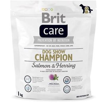 Brit Care dog show champion 1 kg (8595602510429)