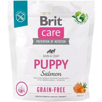 Brit Care Dog Grain-free Puppy 1 kg (8595602558827)