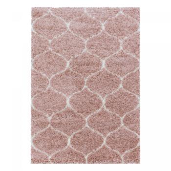 Ayyildiz koberce Kusový koberec Salsa Shaggy 3201 rose - 120x170 cm Růžová