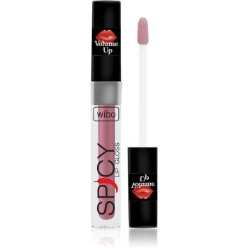 Wibo Lip Gloss Spicy lesk na rty pro větší objem 20 3 ml