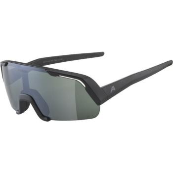 Alpina Sports ROCKET YOUTH Q-LITE Sluneční brýle, černá, velikost UNI