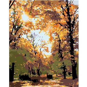 Malování podle čísel - Podzimní stromy (HRAmal00577nad)