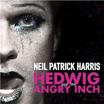 Various: Hedwig And The Angry Inch (Coloured) (2x LP) - LP (0349784365)