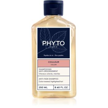 Phyto Color Anti-fade šampon pro barvené vlasy 250 ml