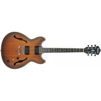 Ibanez AS53 barva TF (Tobacco Flat)