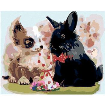 Malování podle čísel - Štěně s černým králíkem (HRAmal00819nad)