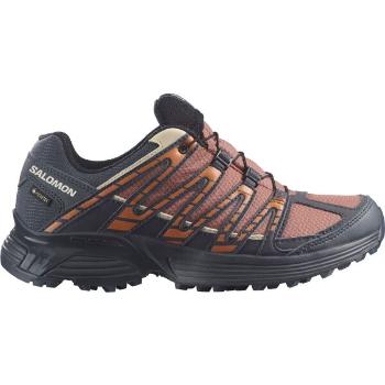 Salomon XT RECKON GTX W Dámská trailová obuv, hnědá, velikost 38 2/3