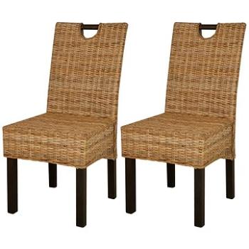 Jídelní židle 2 ks ratan kubu a mangovníkové dřevo (243638)