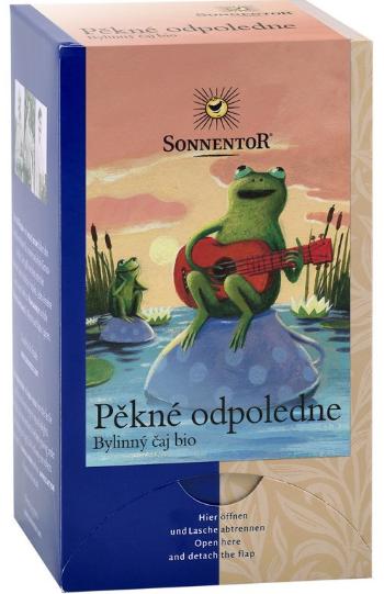 Sonnentor Bio Pěkné odpoledne dvoukomorový 27 g