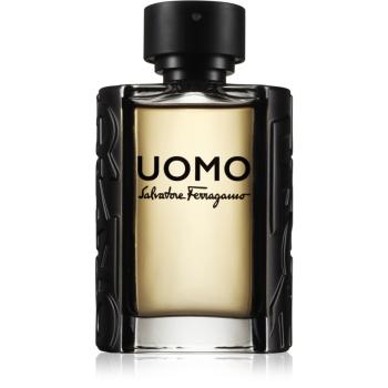 Salvatore Ferragamo Uomo toaletní voda pro muže 100 ml