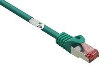 Síťový kabel RJ45 Renkforce RF-3432040, CAT 6, S/FTP, 0.50 m, zelená