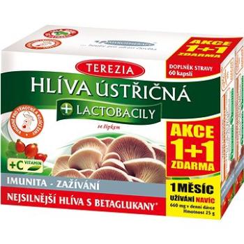 TEREZIA Hlíva + lactobacily 60+60 kapslí (2861962)