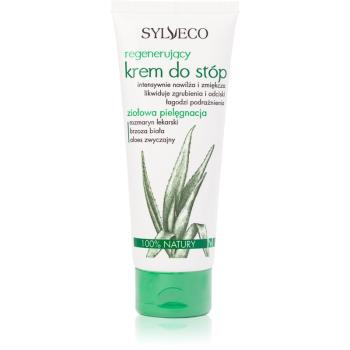 Sylveco Body Care Regenerating regenerační a hydratační krém na nohy 75 ml