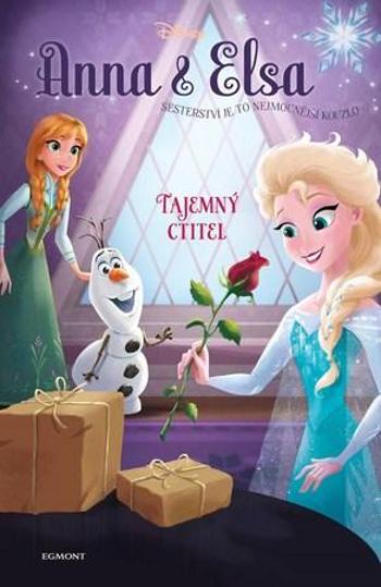 Anna a Elsa Tajemný ctitel - David Erica