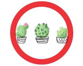 Samolepky zákaz - 5ks Kaktusy
