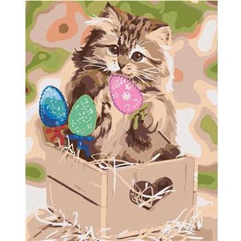 Malování podle čísel - Kotě a velikonoční vajíčka (HRAmal00017nad)