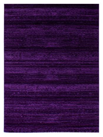 Ayyildiz koberce Kusový koberec Plus 8000 lila - 80x150 cm Fialová