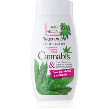 Bione Cosmetics Cannabis regenerační kondicionér 260 ml