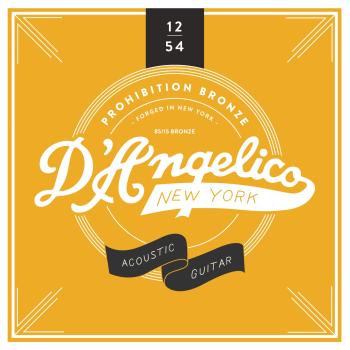 D'Angelico Prohibition Bronze 12-54 Medium Light