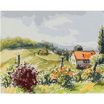 Diamondi - Diamantové malování - KRAJINA S VINICEMI, 40x50 cm, Vypnuté plátno na rám (606168B)