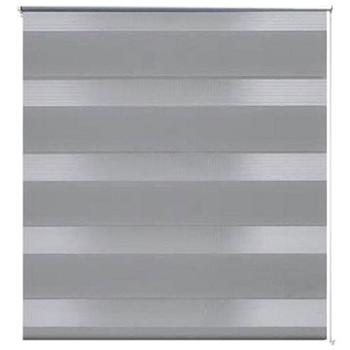 Roleta den a noc \ Zebra \ Twinroll 120x175 cm šedá