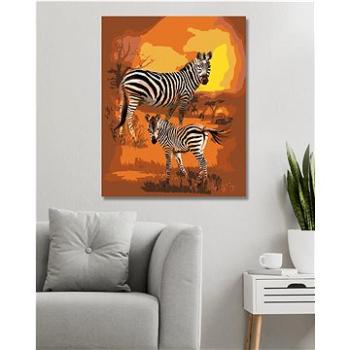 Diamondi - Diamantové malování - ZEBRA A MLÁDĚ (CAROL CAVALARIS), 40x50 cm, Vypnuté plátno na rám (607101B)