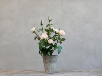 Dekorace umělá růžová růže v květináči Old - 44 cm 39172-00