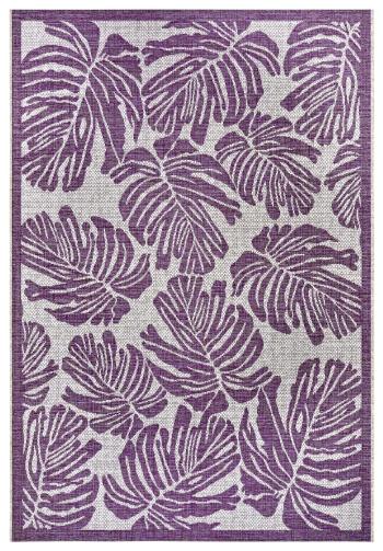 NORTHRUGS - Hanse Home koberce Kusový koberec Jaffa 105245 Purple violet Cream - 160x230 cm Fialová