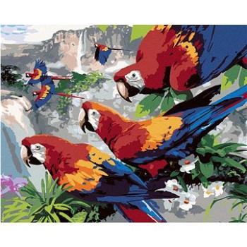 Malování podle čísel - Papoušci na větvi nad vodopádem (Howard Robinson) (HRAbz33430nad)