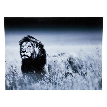 Obraz na skle Lion King Standing 120×160 cm