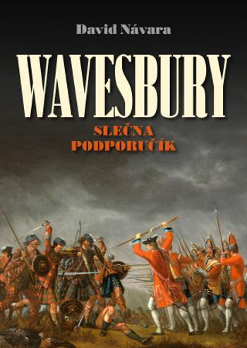 Wavesbury: Slečna podporučík - David Návara - e-kniha
