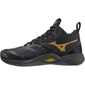 Mizuno WAVE MOMENTUM 2 MID Pánská volejbalová obuv, černá, velikost 47