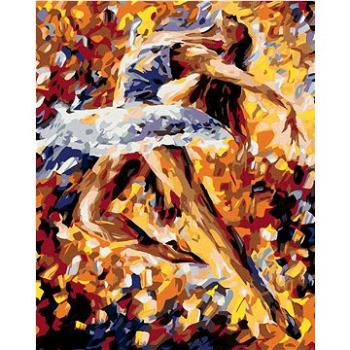 Malování podle čísel - Krásná baletka v barvách (HRAmal00488nad)