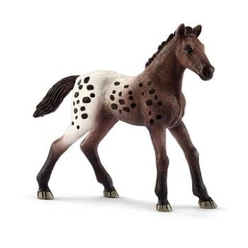 Schleich Appalooské hříbě 13862 (4055744027895)