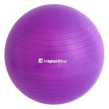 Gymnastický míč inSPORTline Top Ball 65 cm Barva modrá