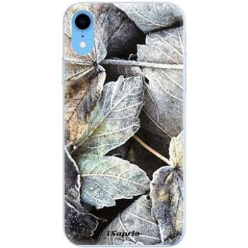 iSaprio Old Leaves 01 pro iPhone Xr (oldle01-TPU2-iXR)